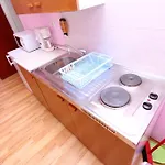 Apartment Antolovic *